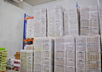 pallet freezer spacers
