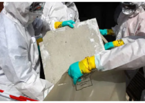 asbestos removal Adelaide
