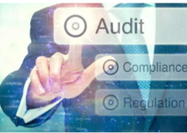 NDIS audit support