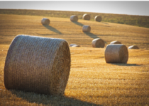 baler twine